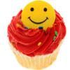 your cupcake says you are your own biggest fan

at parties, you are energetic and outgoing. you